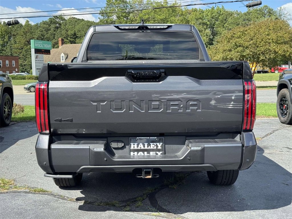 2023 Toyota Tundra Platinum CrewMax photo 19