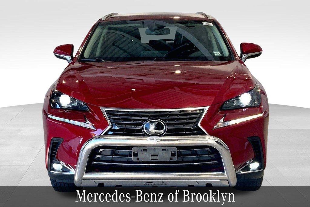 2019 Lexus NX 300 Luxury photo 3