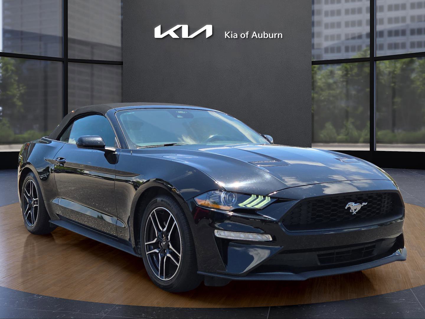 2023 Ford Mustang EcoBoost Premium photo 3