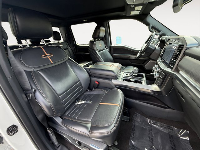 2021 Ford F-150 Platinum photo 19