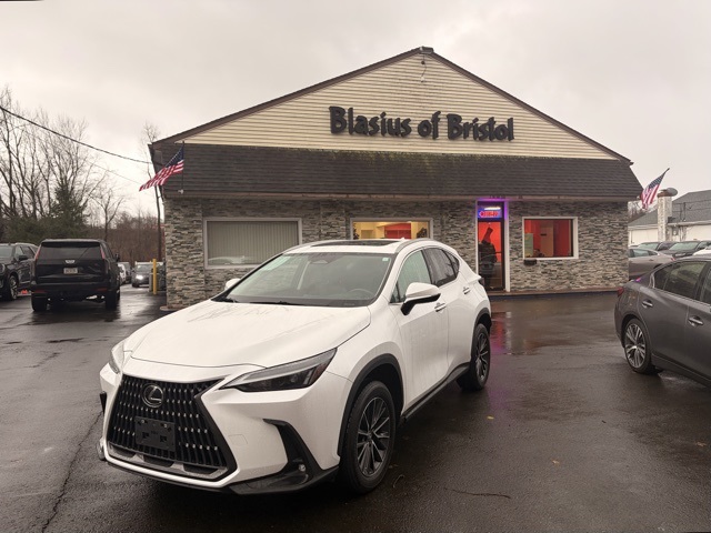 2022 Lexus NX Hybrid 350h's photo