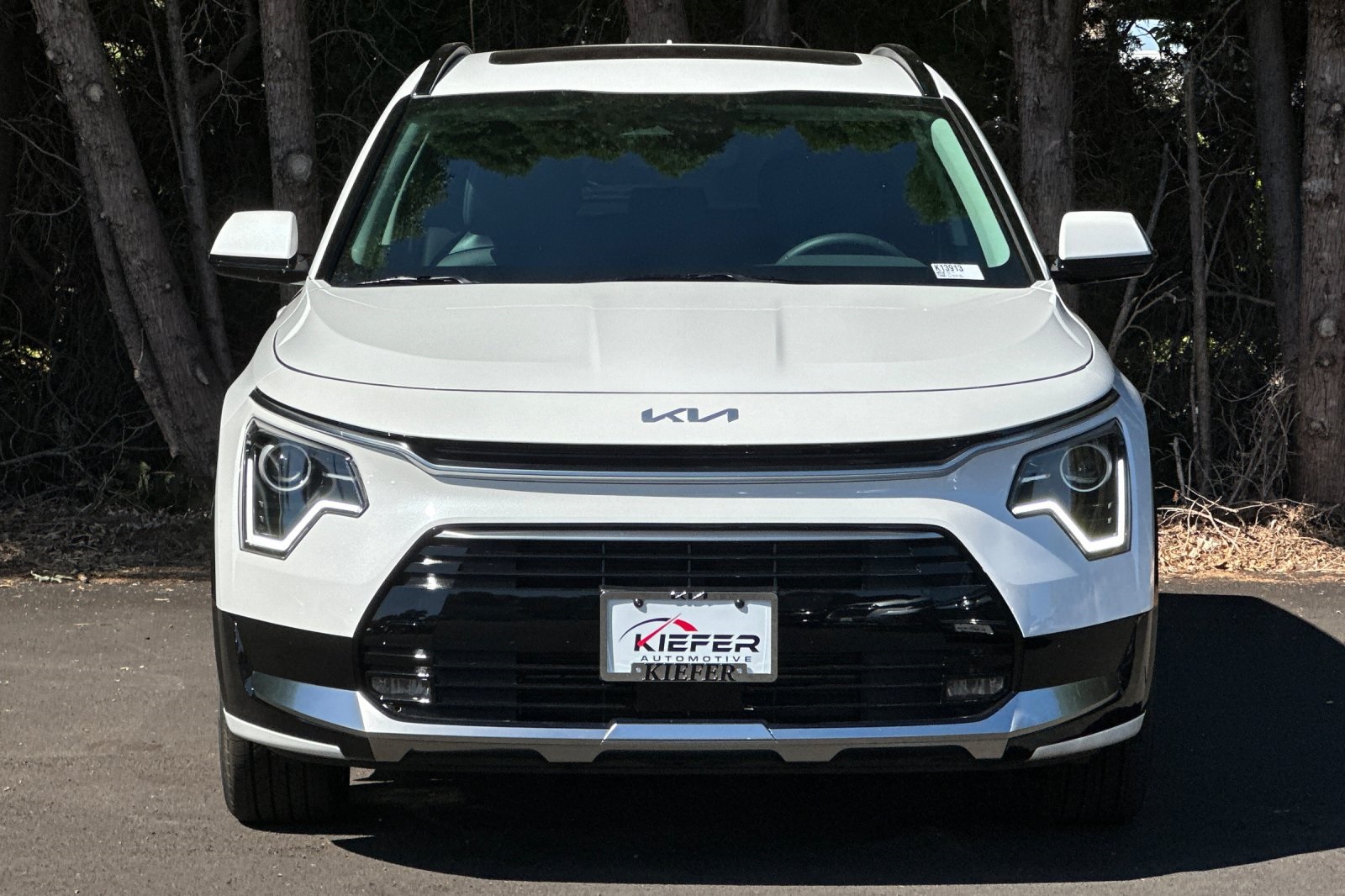 2025 Kia Niro EX Touring photo 4