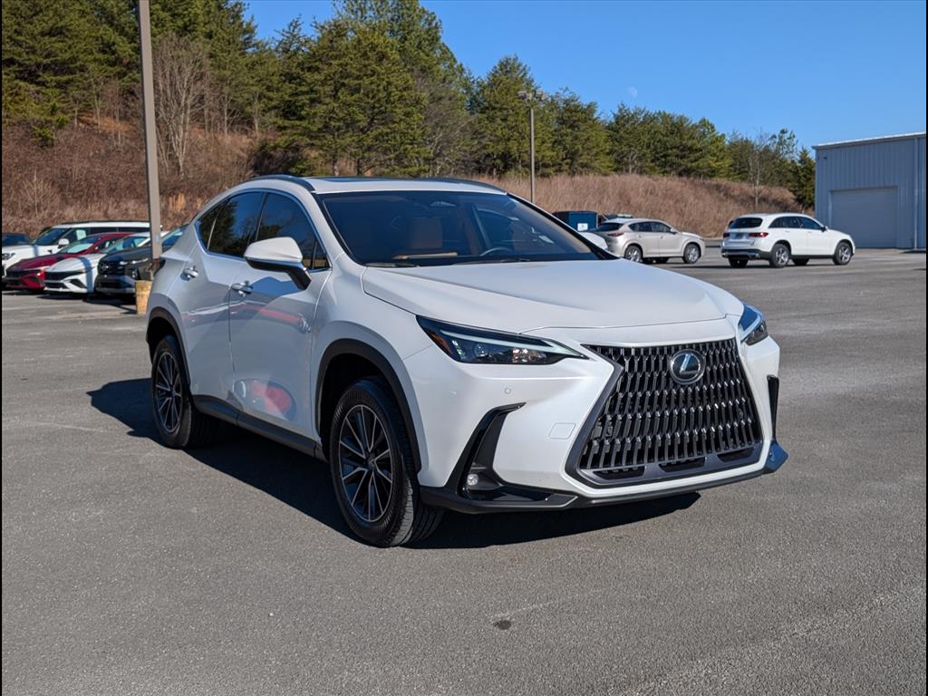 2025 Lexus NX Hybrid 350h's photo
