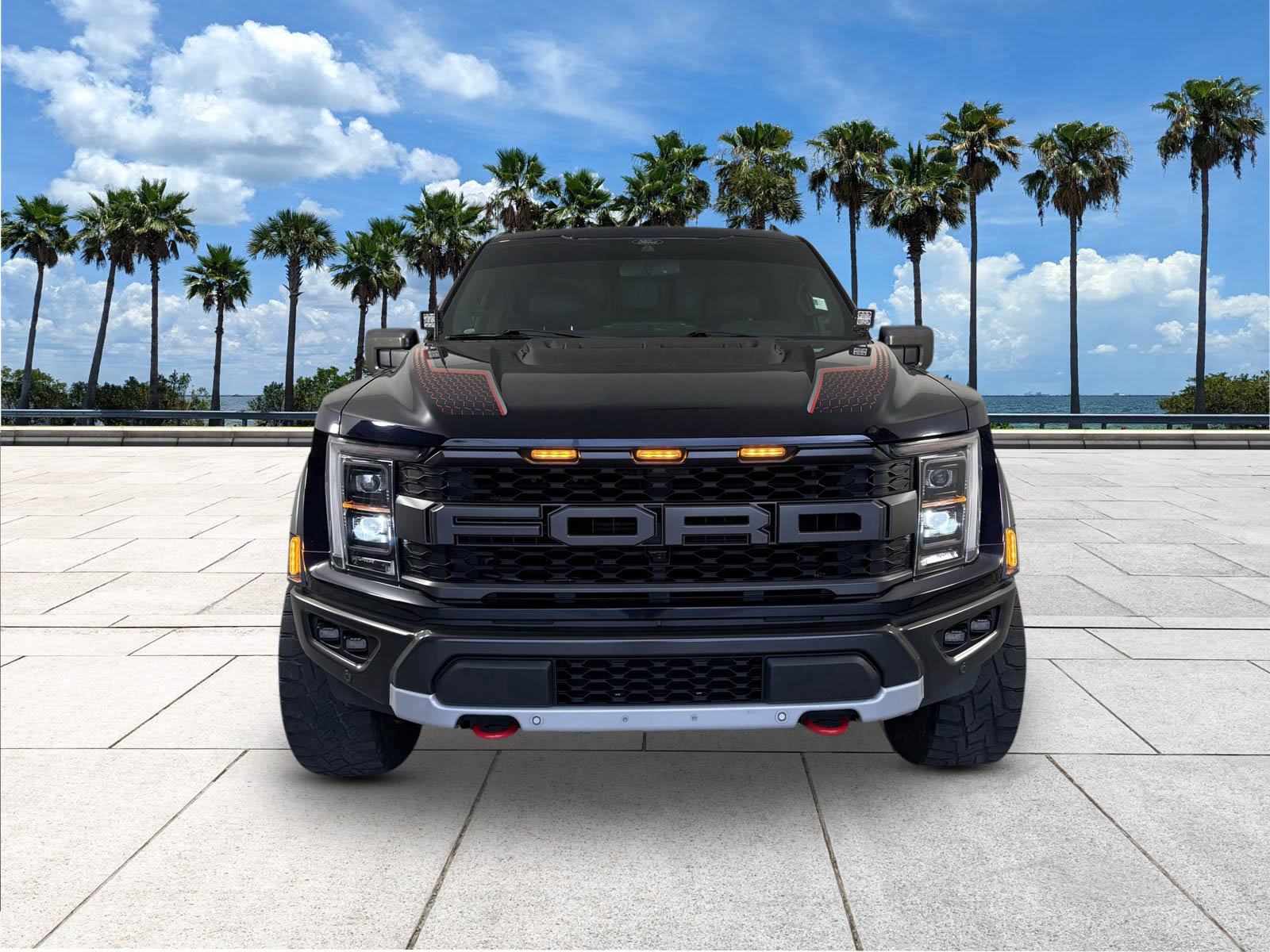 2021 Ford F-150 Raptor photo 2