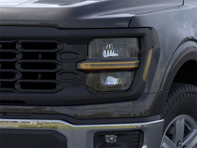 2025 Ford F-150 XL photo 10