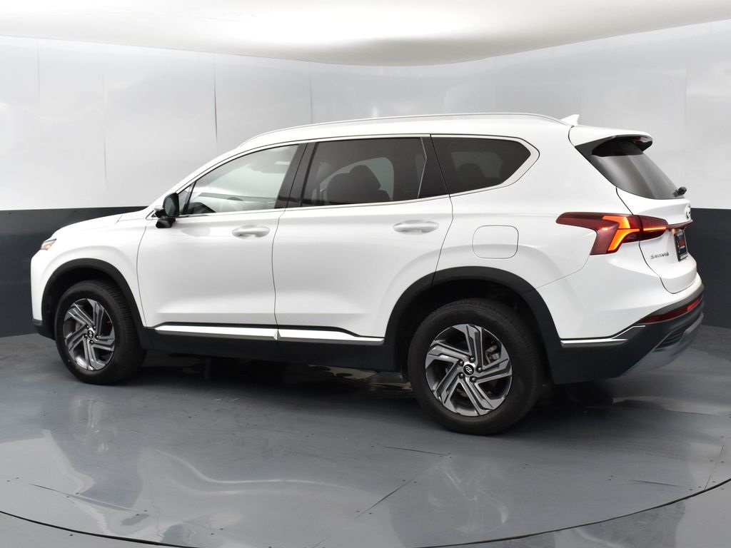 2023 Hyundai Santa Fe SEL Premium photo 4