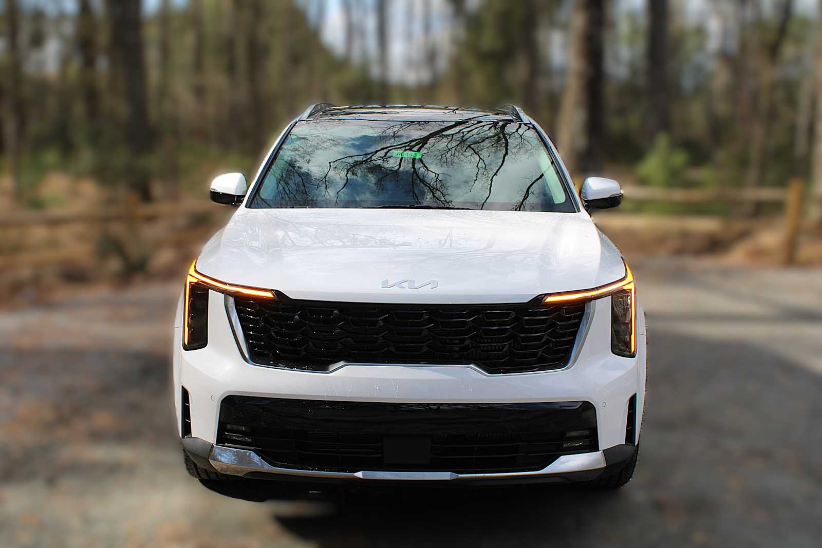 2025 Kia Sorento EX photo 17