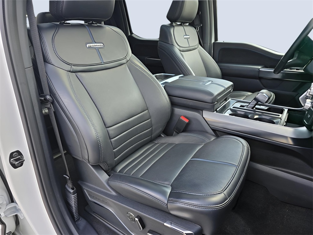 2024 Ford F-150 Platinum photo 18
