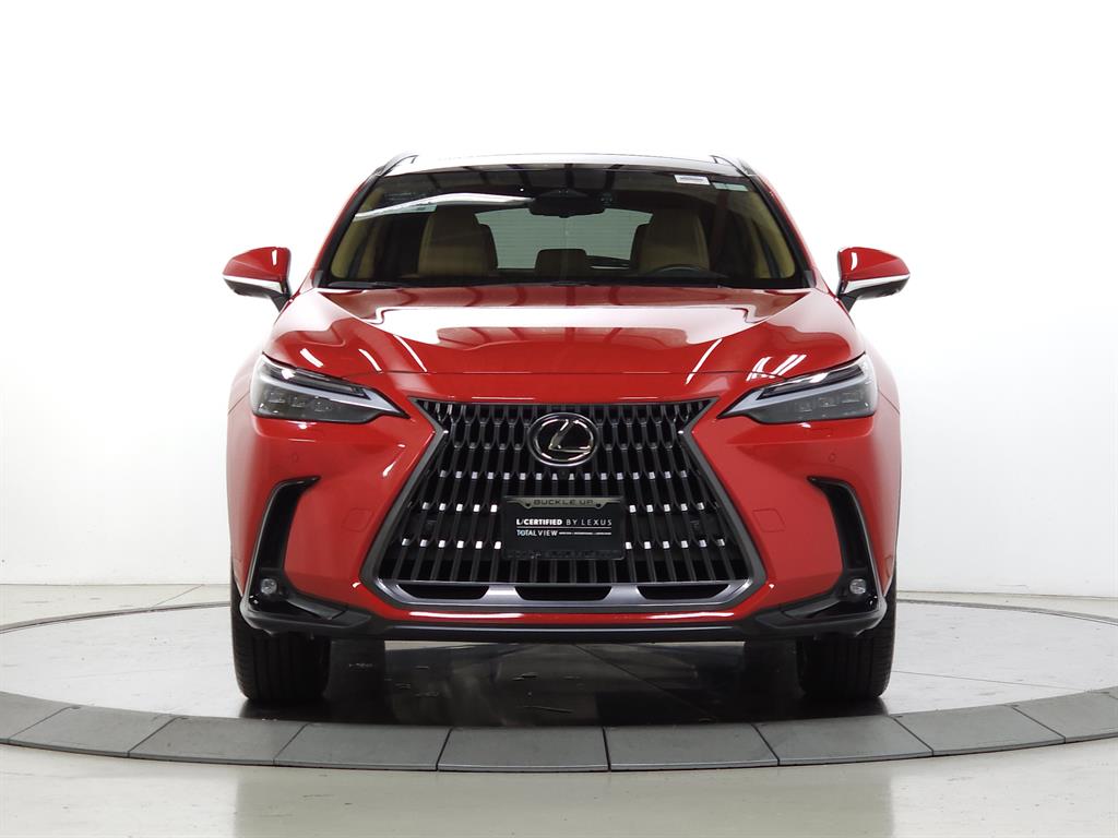 2025 Lexus NX 350h Luxury photo 2
