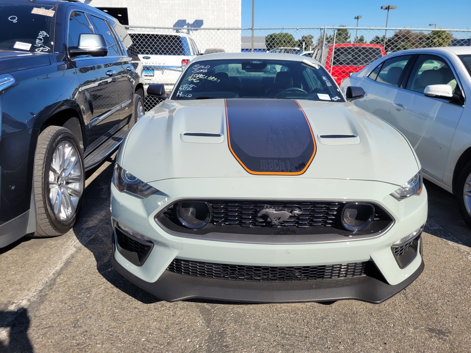 2022 Ford Mustang Mach 1 photo 2