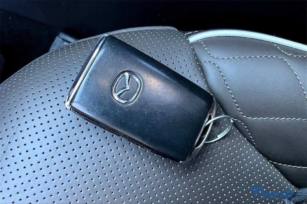 2021 Mazda CX-9 Signature photo 31