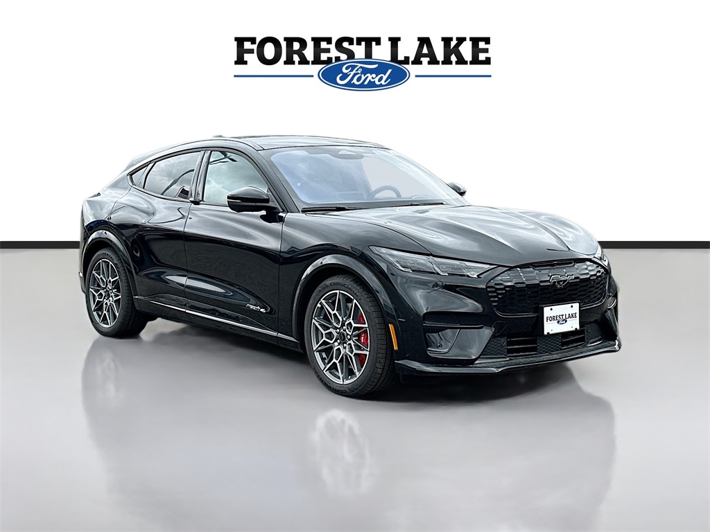 2025 Ford Mustang Mach-E GT AWD's photo