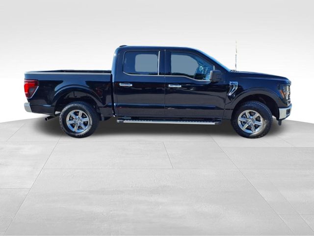 2024 Ford F-150 XLT photo 7