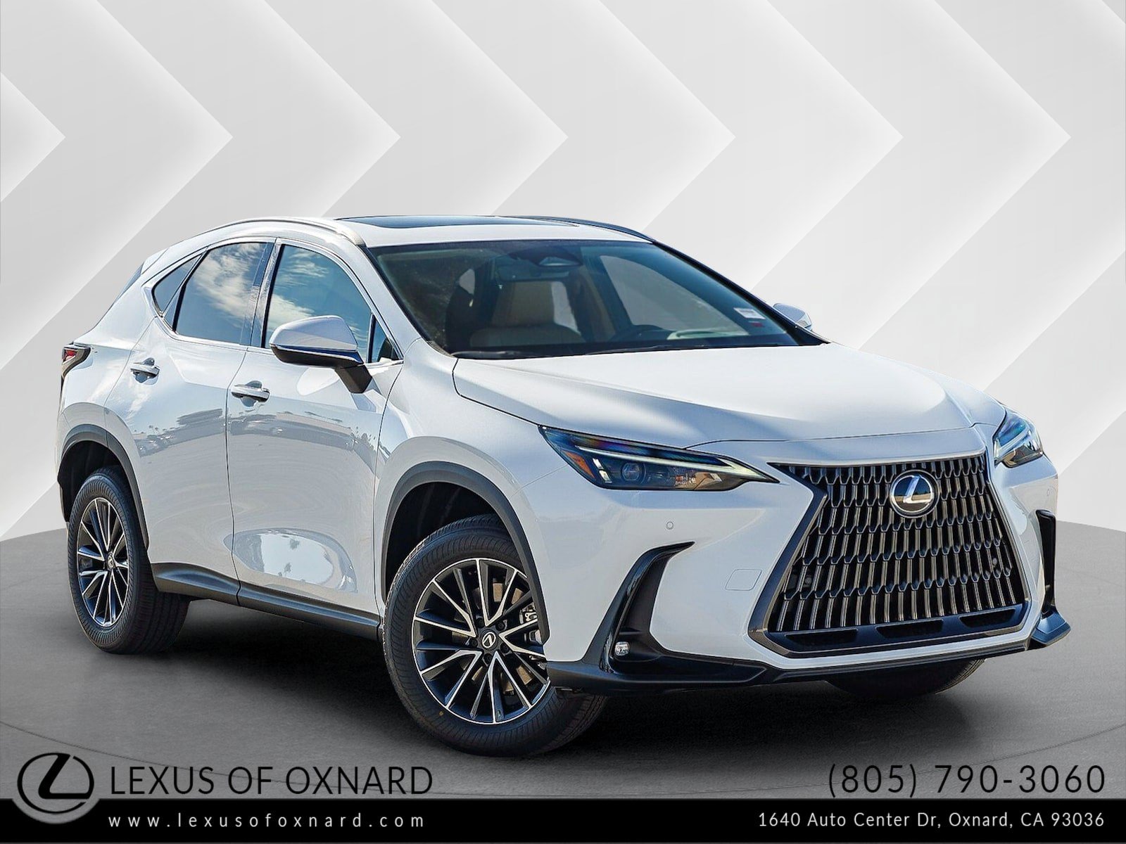 2026 Lexus NX 350