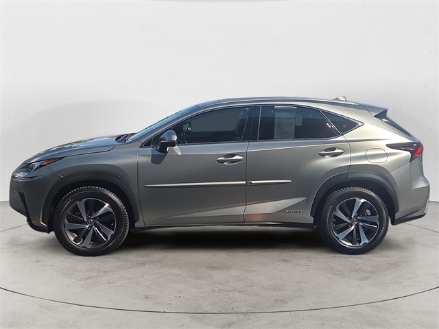 2019 Lexus NX 300h Luxury photo 2