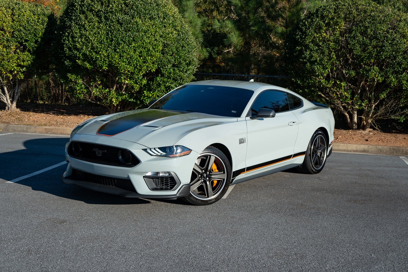 2021 Ford Mustang Mach 1 photo 3