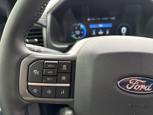 2025 Ford F-150 Lightning photo 29