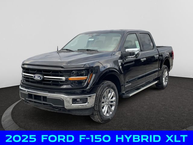 2025 Ford F-150 XLT's photo