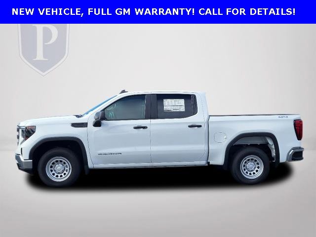 2023 Gmc Sierra 1500 Pro photo 3