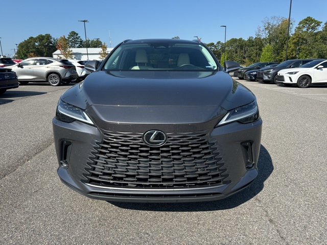 2023 Lexus RX 350 Luxury photo 3