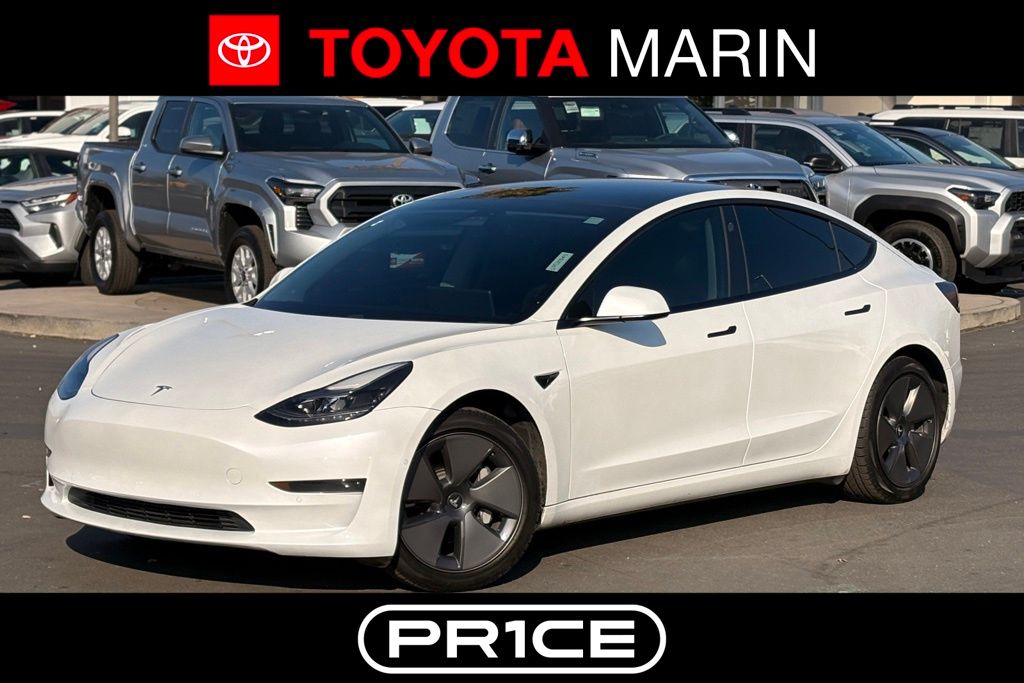 2021 Tesla Model 3 Base's photo