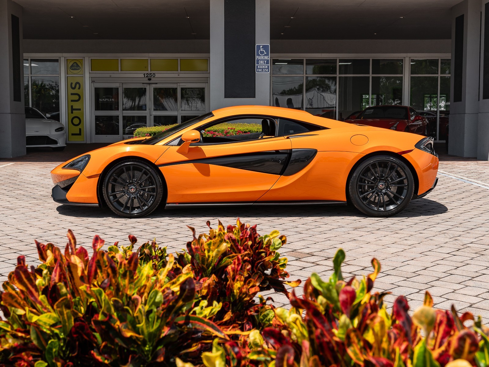 2016 Mclaren 570S Coupe S photo 7