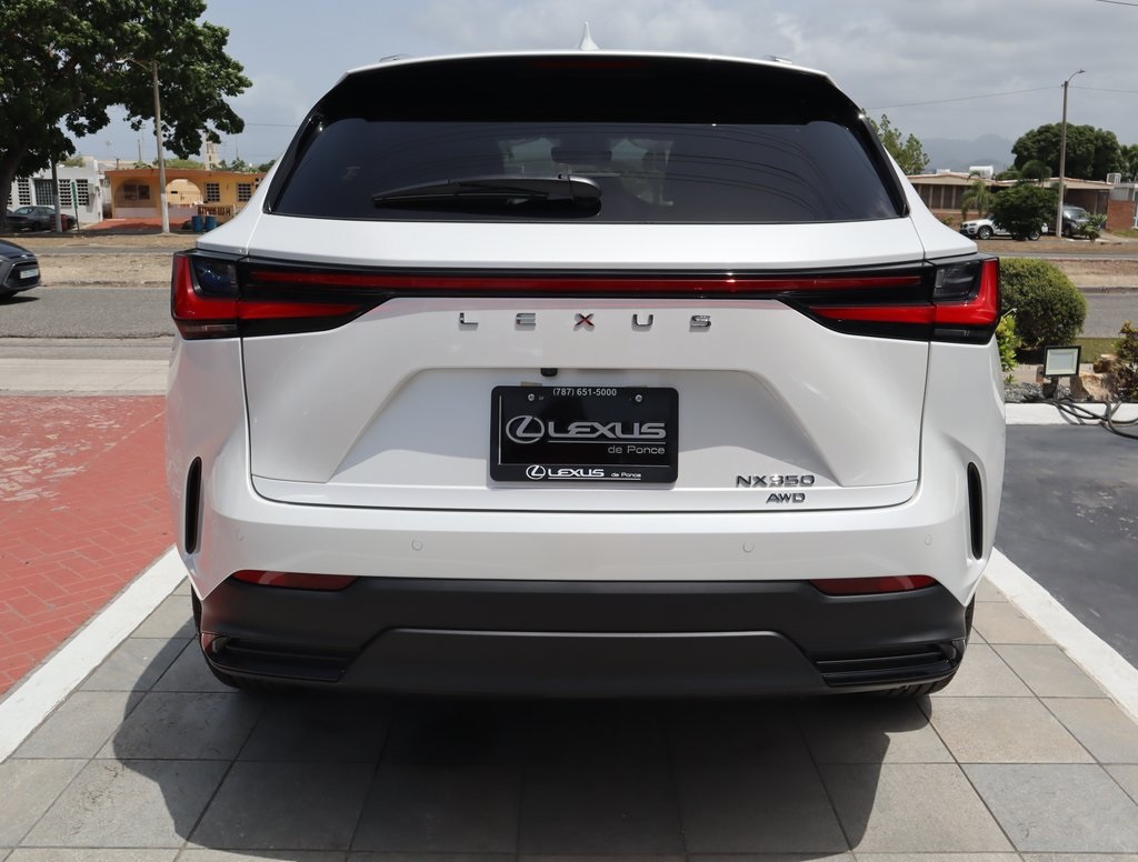 2025 Lexus NX 350 photo 6