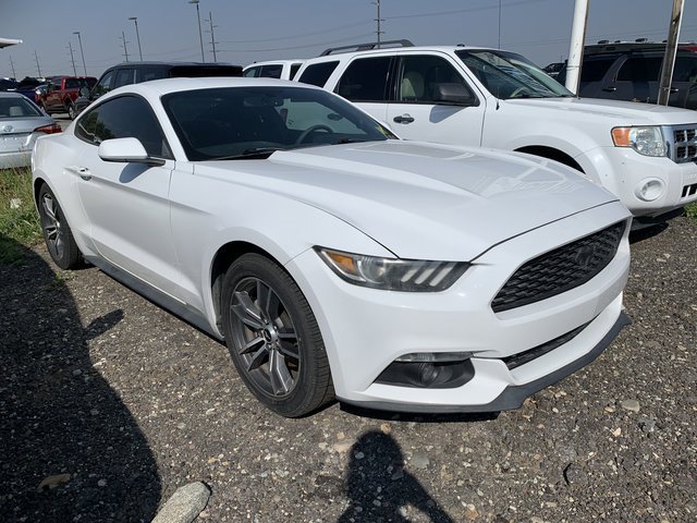 2016 Ford Mustang EcoBoost photo 2