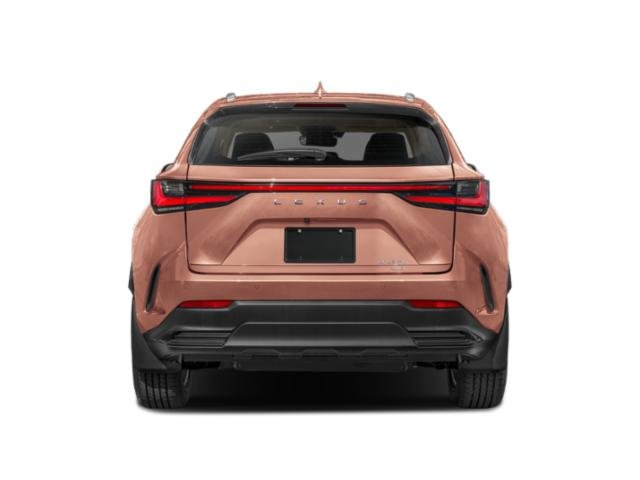 2025 Lexus NX 350 photo 5