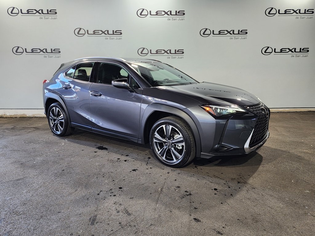 2025 Lexus UX photo 3