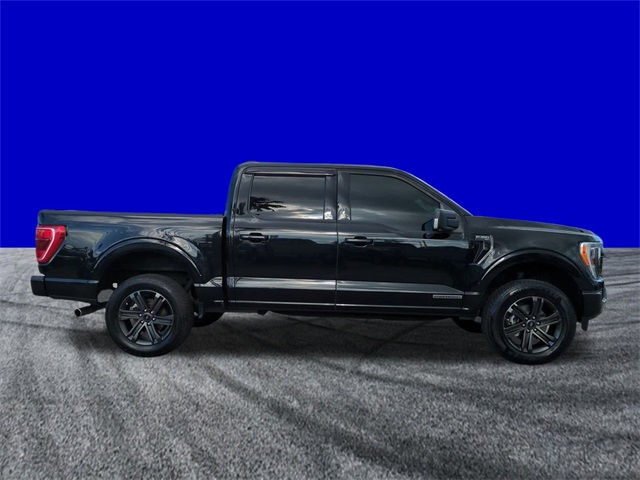 2023 Ford F-150 XLT photo 2