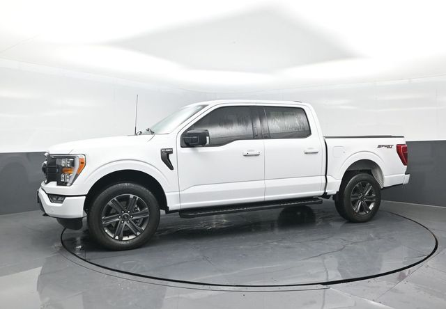 2023 Ford F-150 XLT photo 4