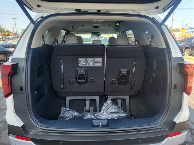 2026 Kia Carnival EX photo 15