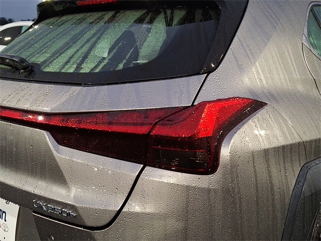 2021 Lexus UX 250h photo 13