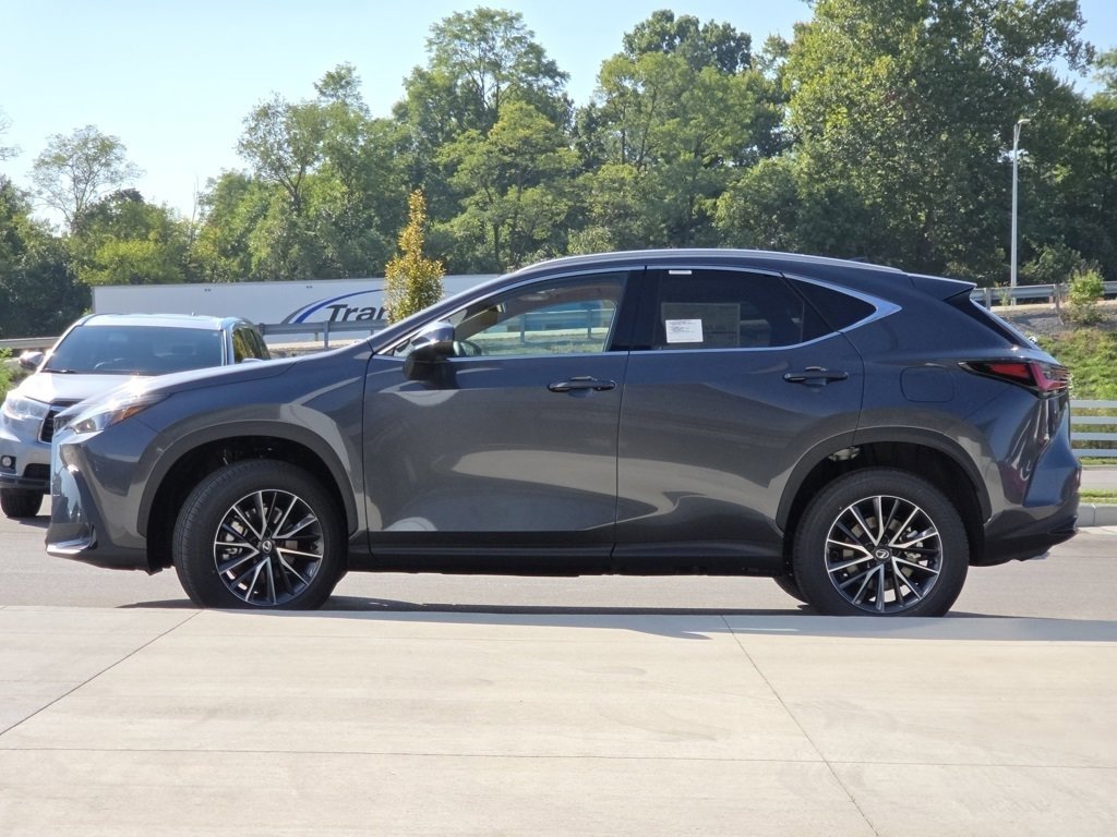 2026 Lexus NX 350h photo 19