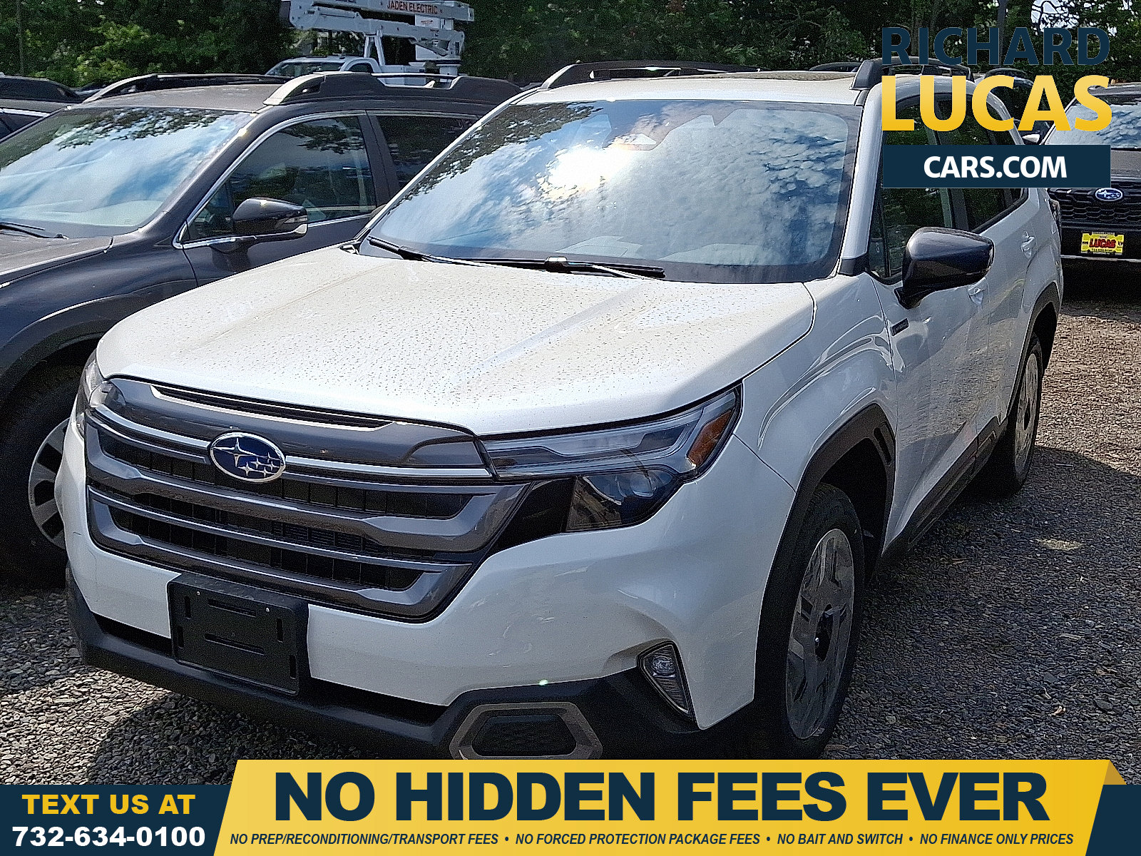 2025 Subaru Forester Limited's photo