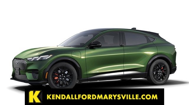 2025 Ford Mustang Mach-E Premium AWD's photo