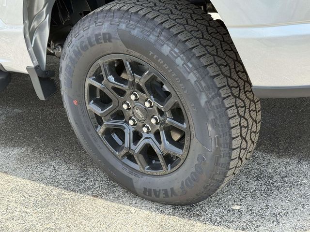 2025 Ford F-150 XLT photo 3
