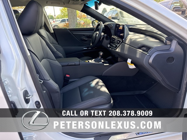 2025 Lexus ES 300h photo 10