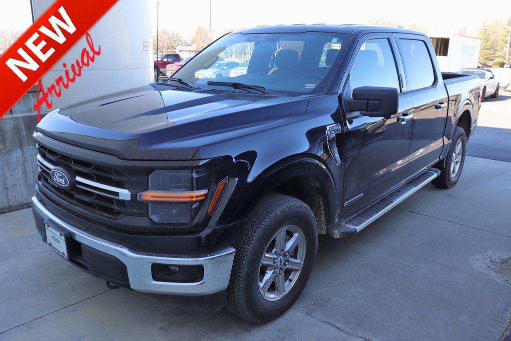 2024 Ford F-150 XLT's photo