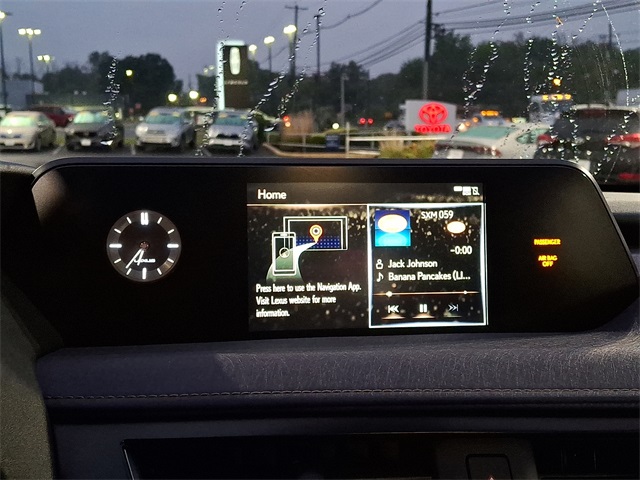 2021 Lexus UX 250h photo 21