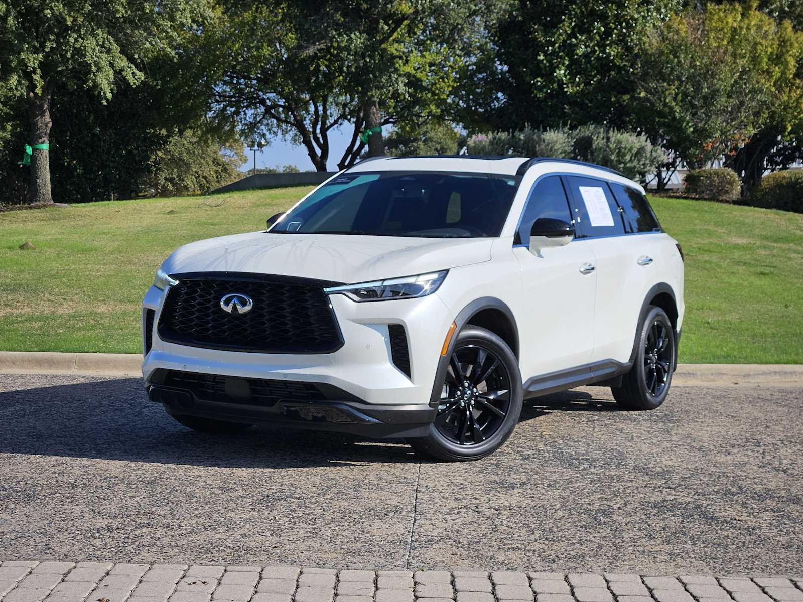 2025 INFINITI QX60 LUXE's photo