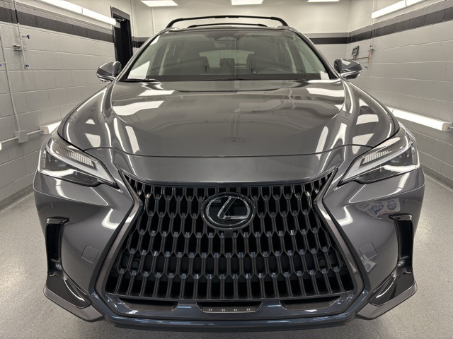2025 Lexus NX 350 Premium photo 2