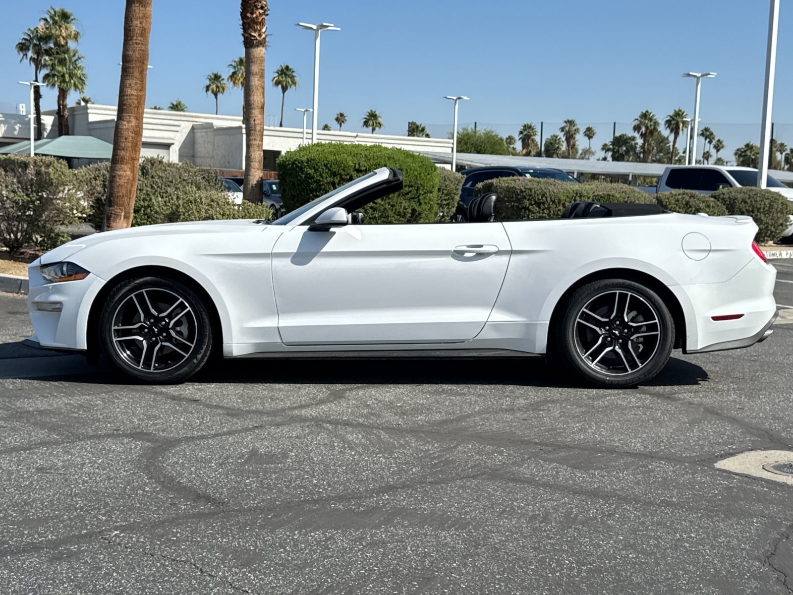 2022 Ford Mustang EcoBoost Premium Convertible photo 6