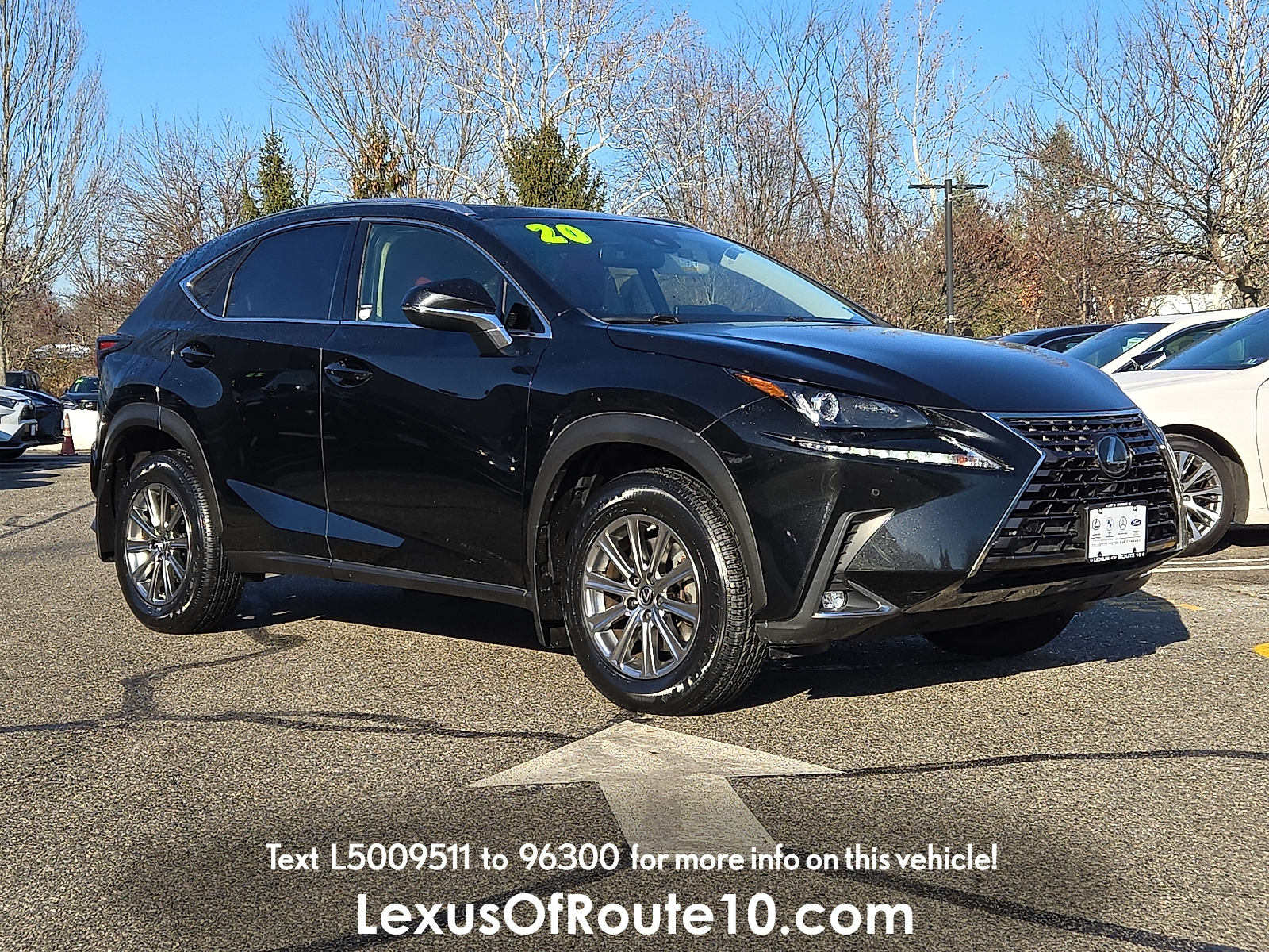 2020 Lexus NX 300