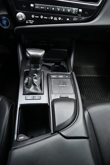 2022 Lexus ES 300h photo 16
