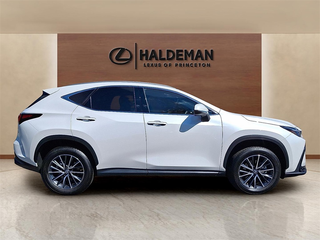 2025 Lexus NX 350 Premium photo 6