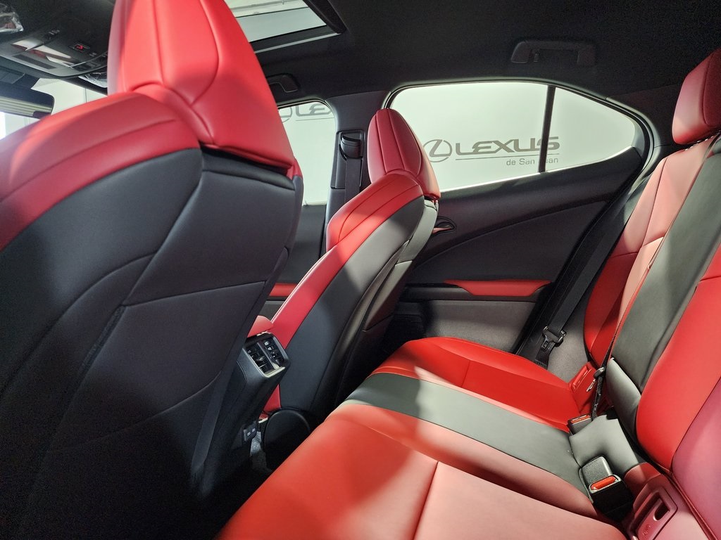 2025 Lexus UX photo 24