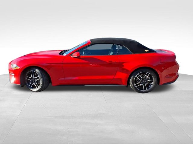 2023 Ford Mustang EcoBoost Premium photo 3