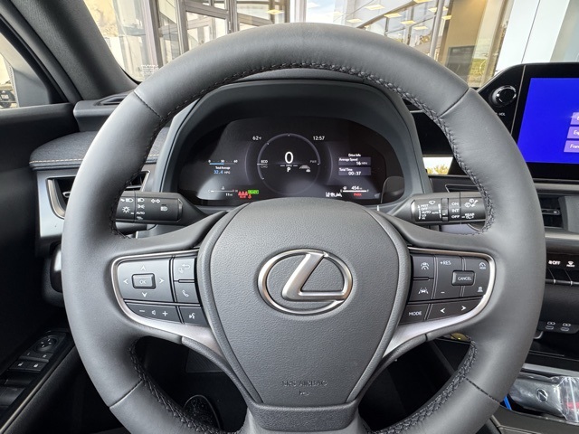2025 Lexus UX Premium photo 12